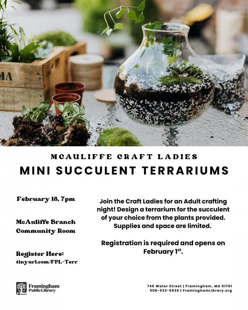 Craft Ladies: Mini Succulent Terrariums thumbnail Photo