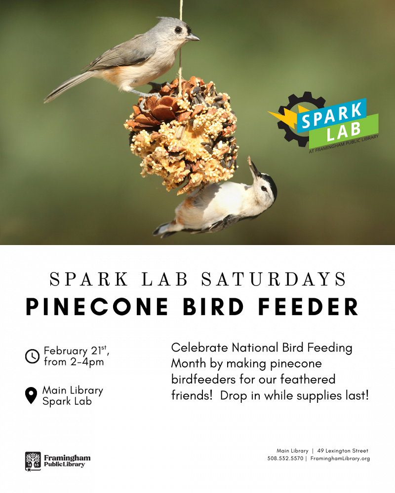 Spark Lab Saturday: Pinecone Birdfeeders thumbnail Photo