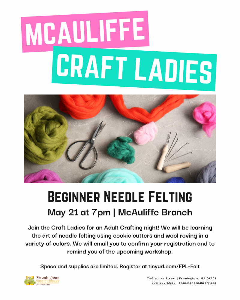 Craft Ladies: Beginner Needle Felting thumbnail Photo