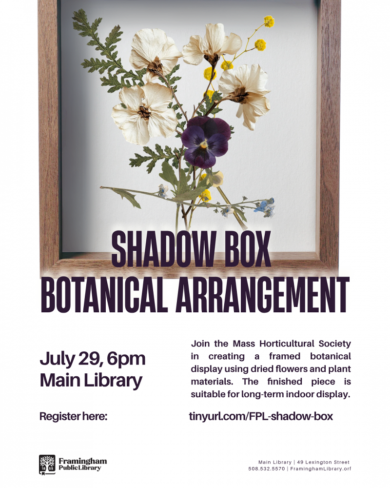 Shadow Box Botanical Arrangement thumbnail Photo