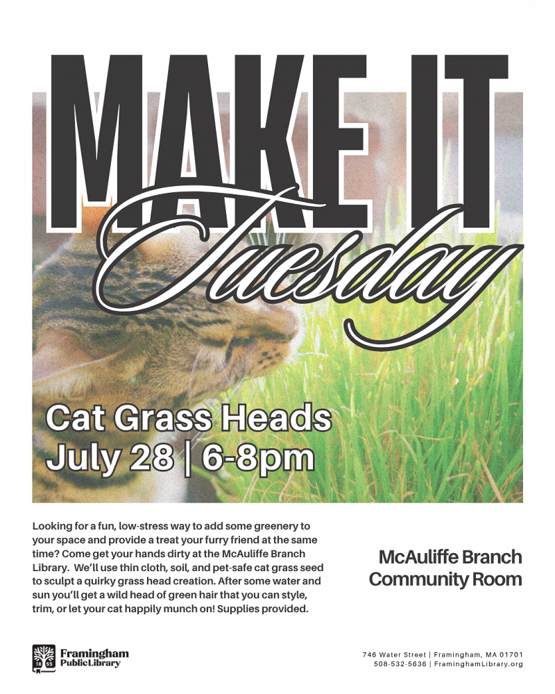 Make it Tuesday: Cat Grass Heads thumbnail Photo