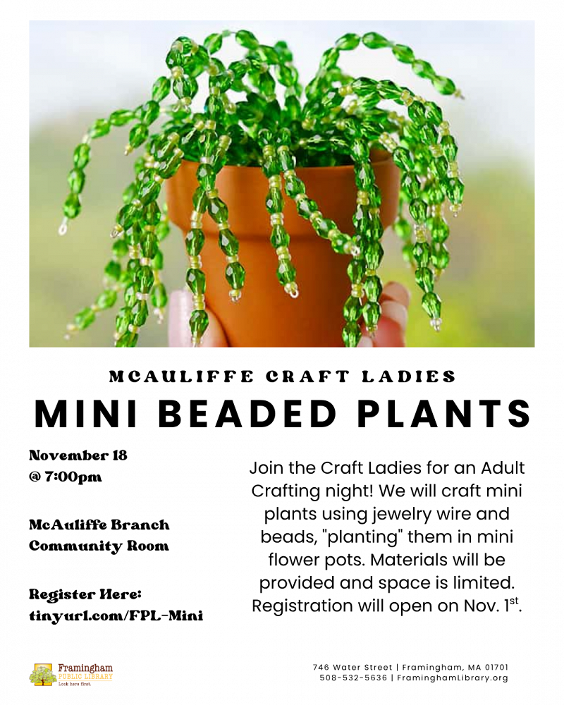 Craft Ladies: Mini Beaded Plants thumbnail Photo