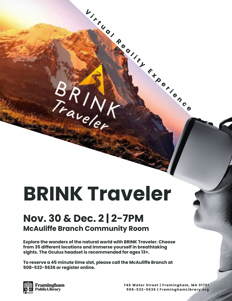 Virtual Reality: BRINK Traveler thumbnail Photo