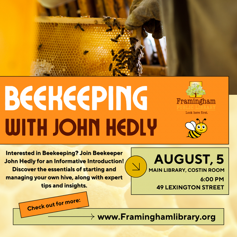 Beekeeping with John Hedly thumbnail Photo