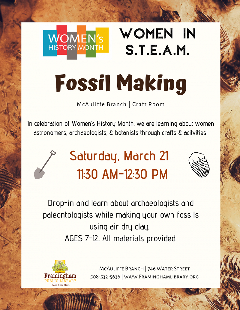 Women in STEAM: Fossil Making thumbnail Photo