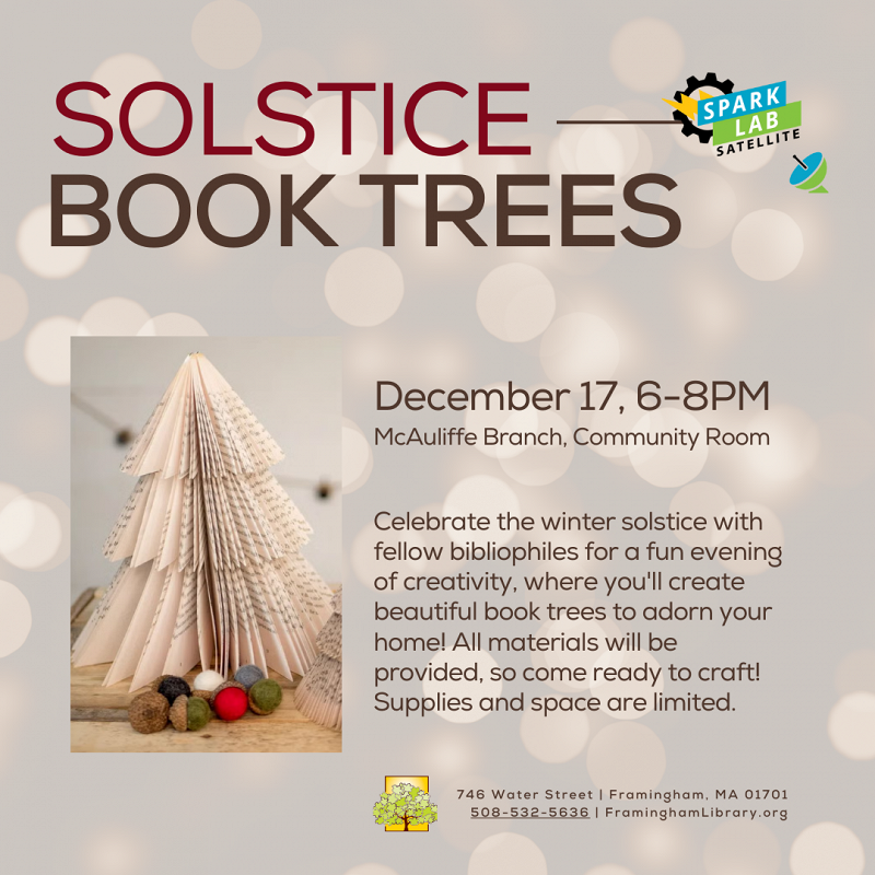 Spark Lab Satellite: Solstice Book Trees thumbnail Photo