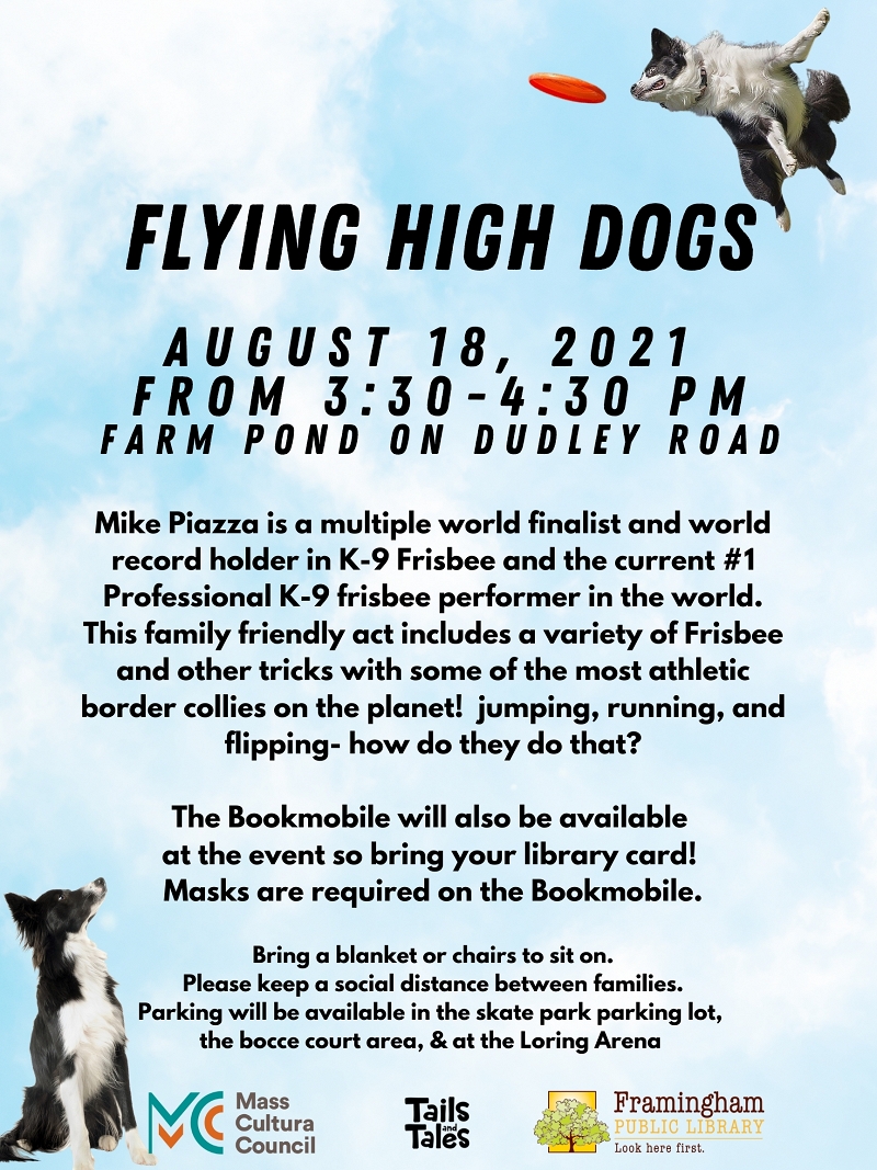 Flying High Dogs thumbnail Photo