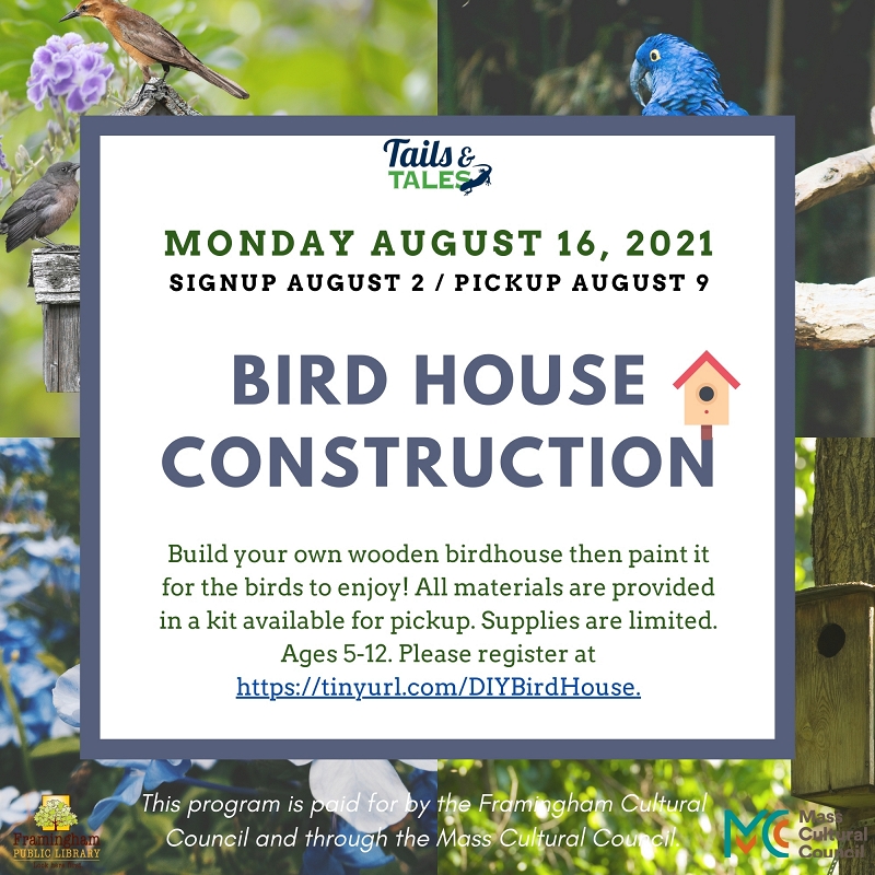 Bird House Construction thumbnail Photo