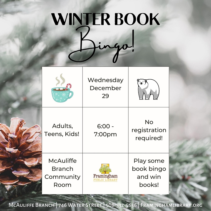 Winter Book Bingo thumbnail Photo