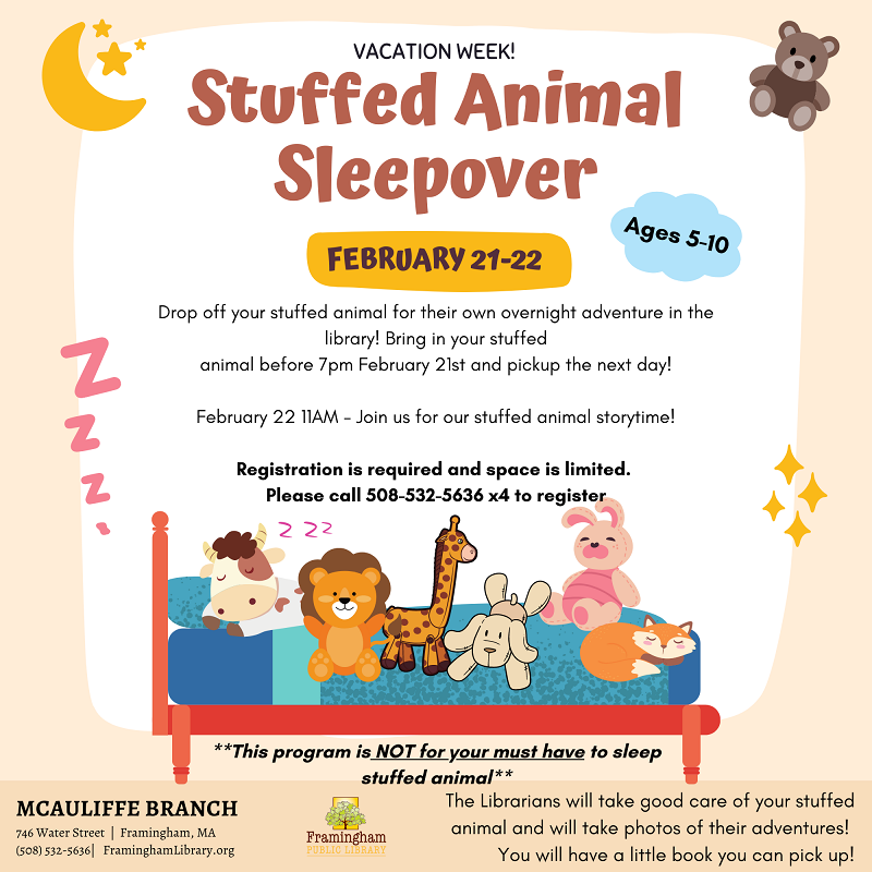 Stuffed Animal Sleepover (McAuliffe Branch) thumbnail Photo