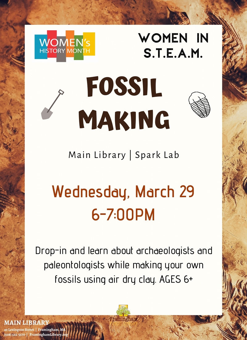 Women in S.T.E.A.M: Fossil Making thumbnail Photo