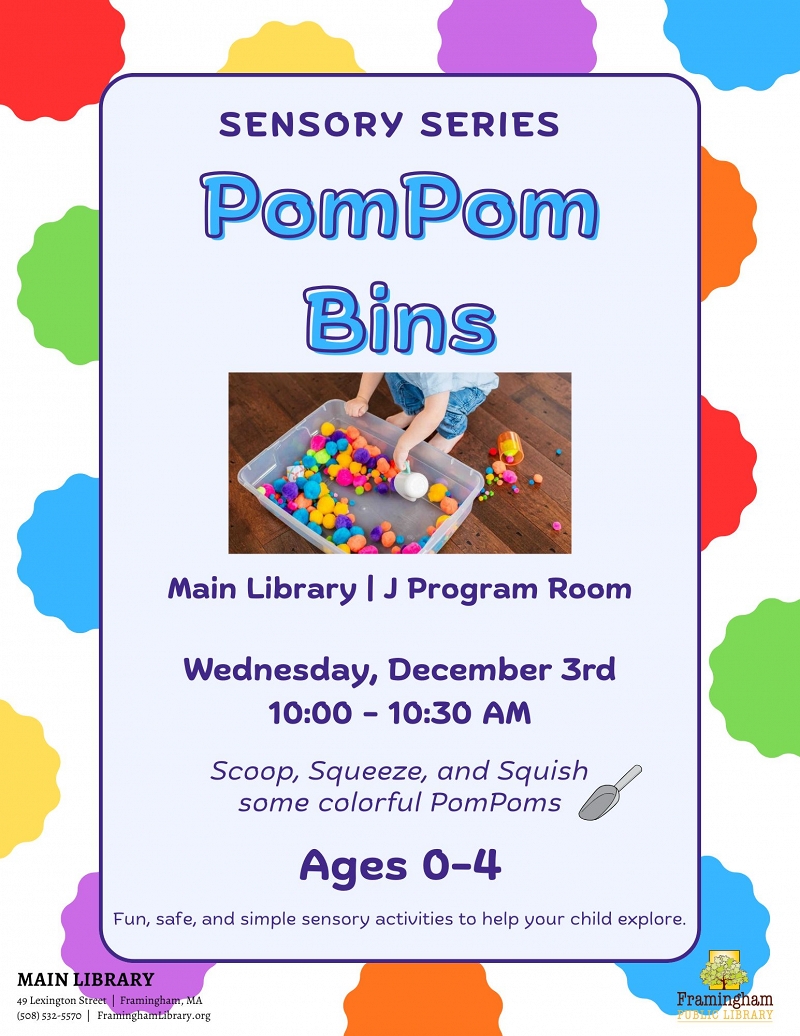 Sensory Series: Pompom Bins thumbnail Photo