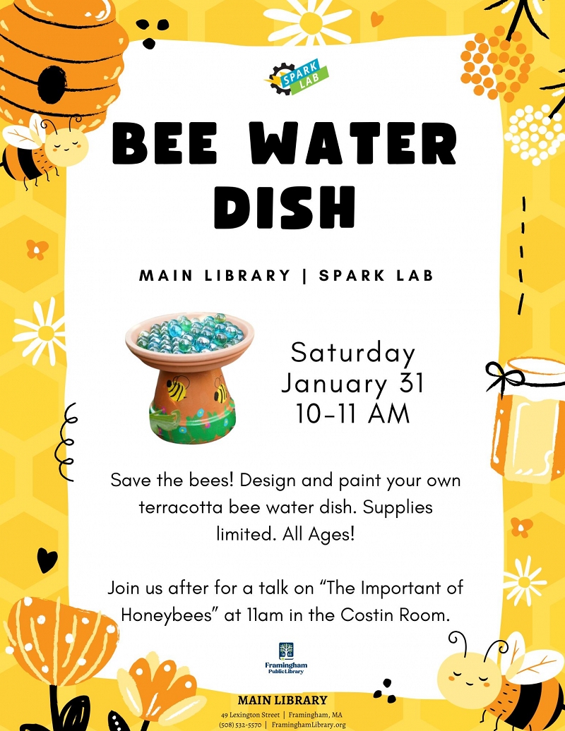 Bee Water Dish Decorating thumbnail Photo