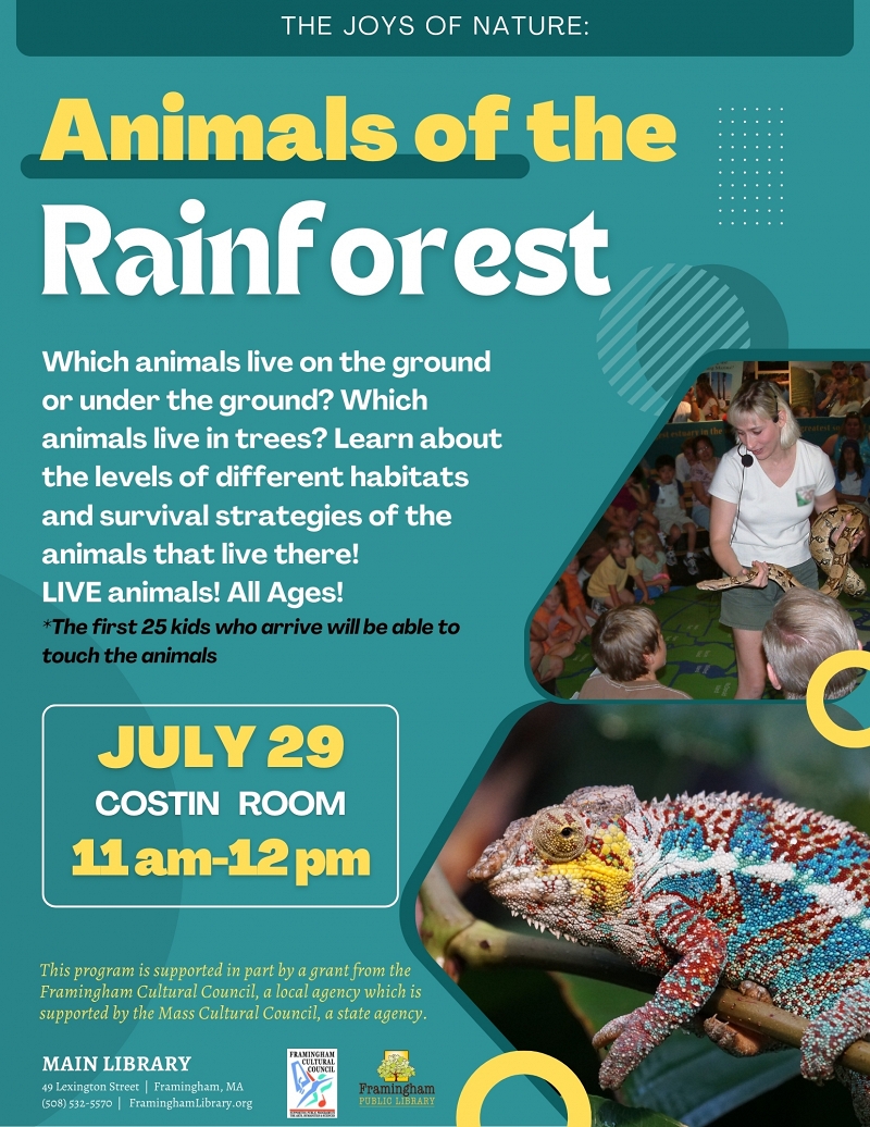 The Joys of Nature Presents: Animals of the Rainforest thumbnail Photo