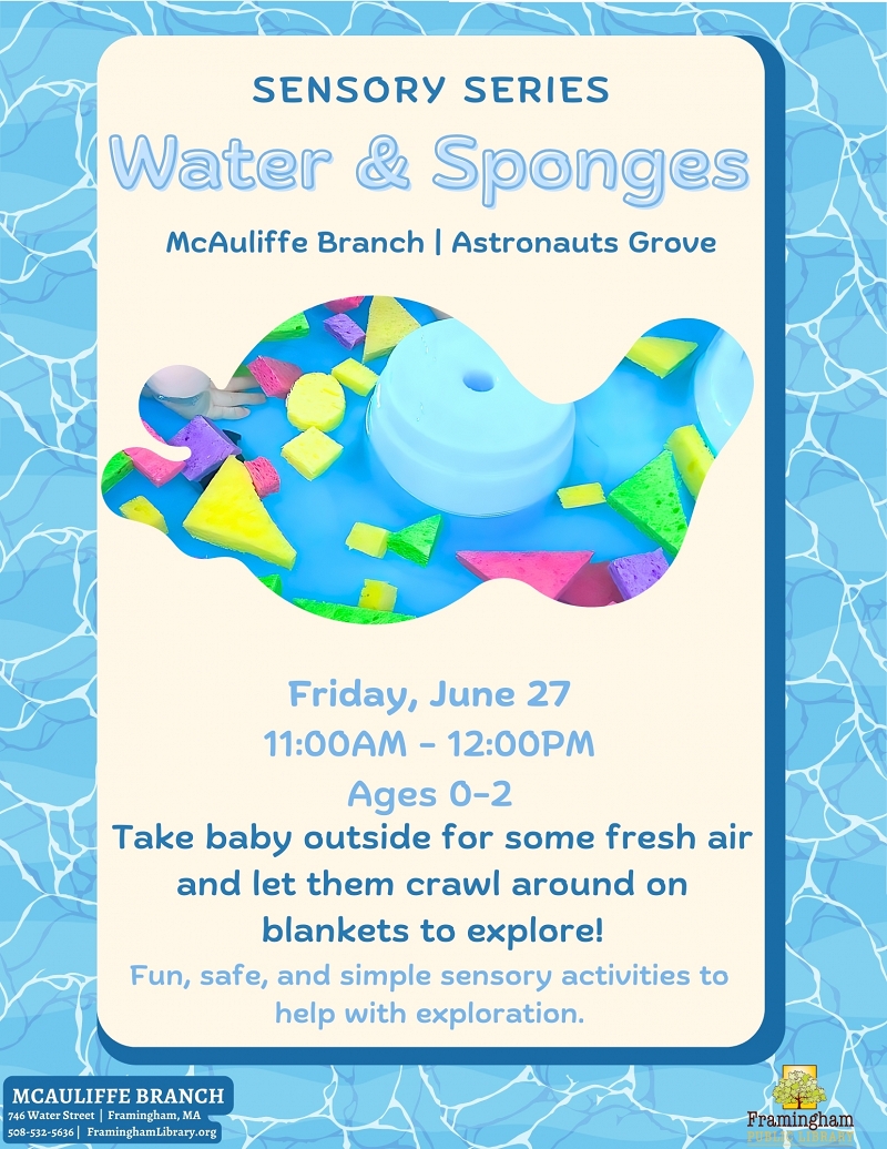 Baby Sensory Series: Sponges & Water thumbnail Photo