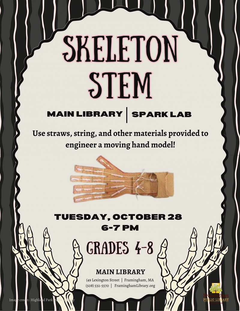Skeleton STEM thumbnail Photo