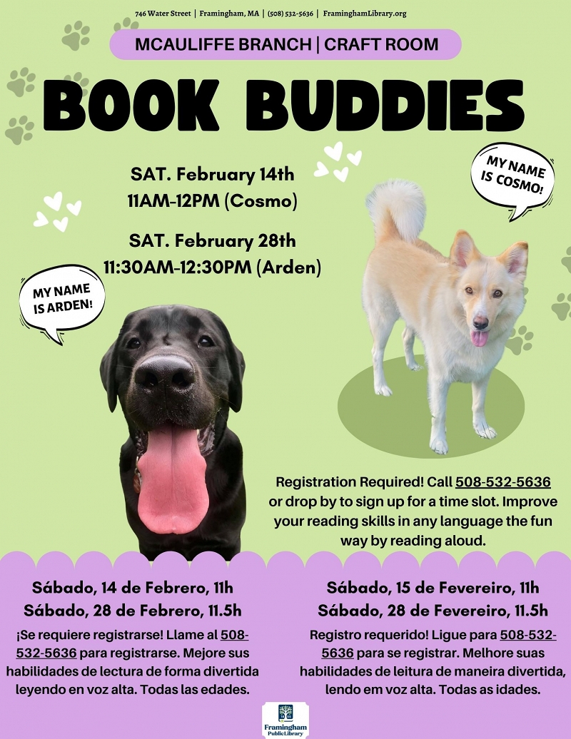 Book Buddies: Reading to Dogs (Cosmo) thumbnail Photo