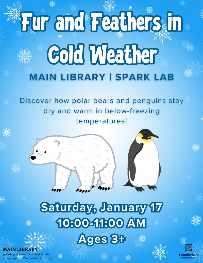 Fur and Feathers in Cold Weather thumbnail Photo