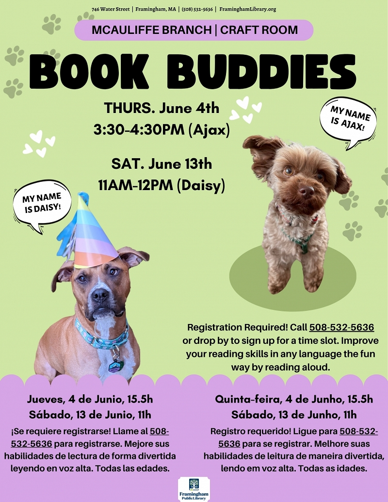 Book Buddies: Reading to Dogs (Daisy) thumbnail Photo
