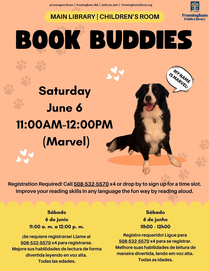 Book Buddies: Reading to Dogs (Marvel) thumbnail Photo