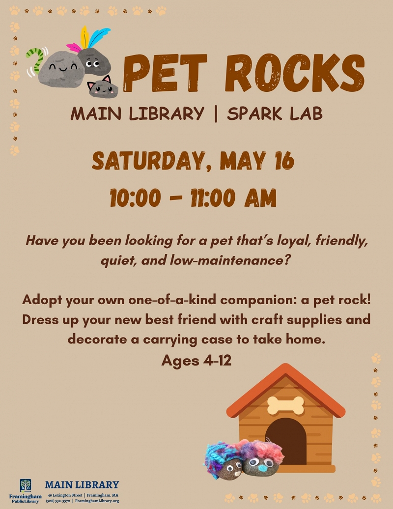 Pet Rocks thumbnail Photo