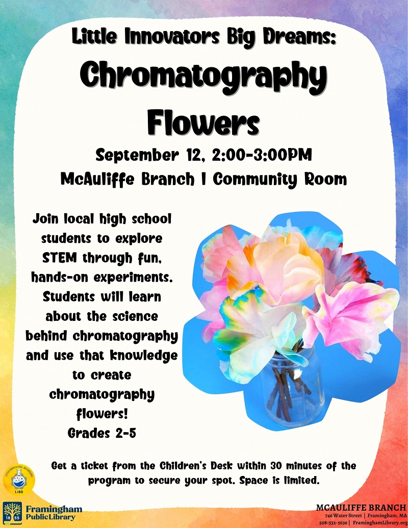 Little Innovators, Big Dreams: Chromatography Flowers thumbnail Photo