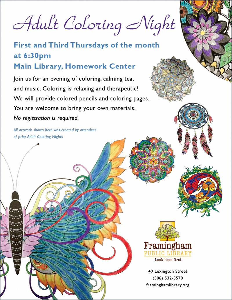 Adult Coloring Night thumbnail Photo