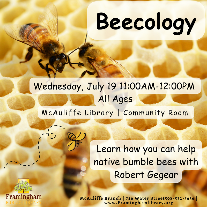Beecology thumbnail Photo
