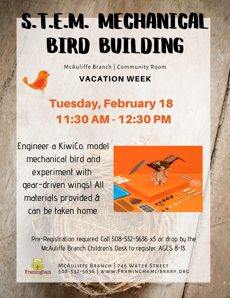 Spark Lab Pop-Up at McAuliffe: S.T.E.M. KiwiCo Mechanical Bird Building thumbnail Photo