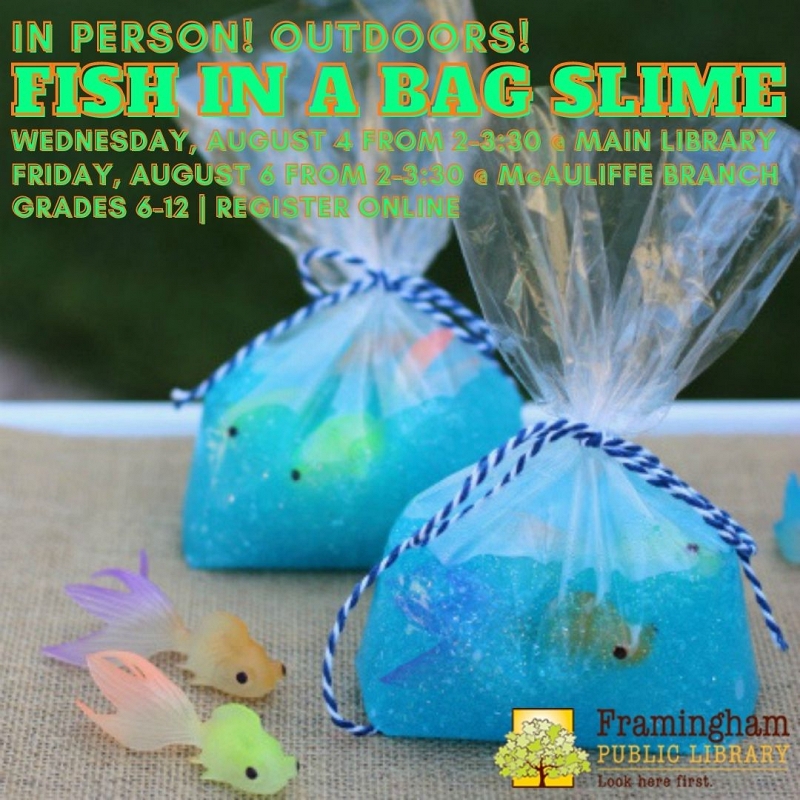 Fish In A Bag Slime (Take & Make kit) thumbnail Photo
