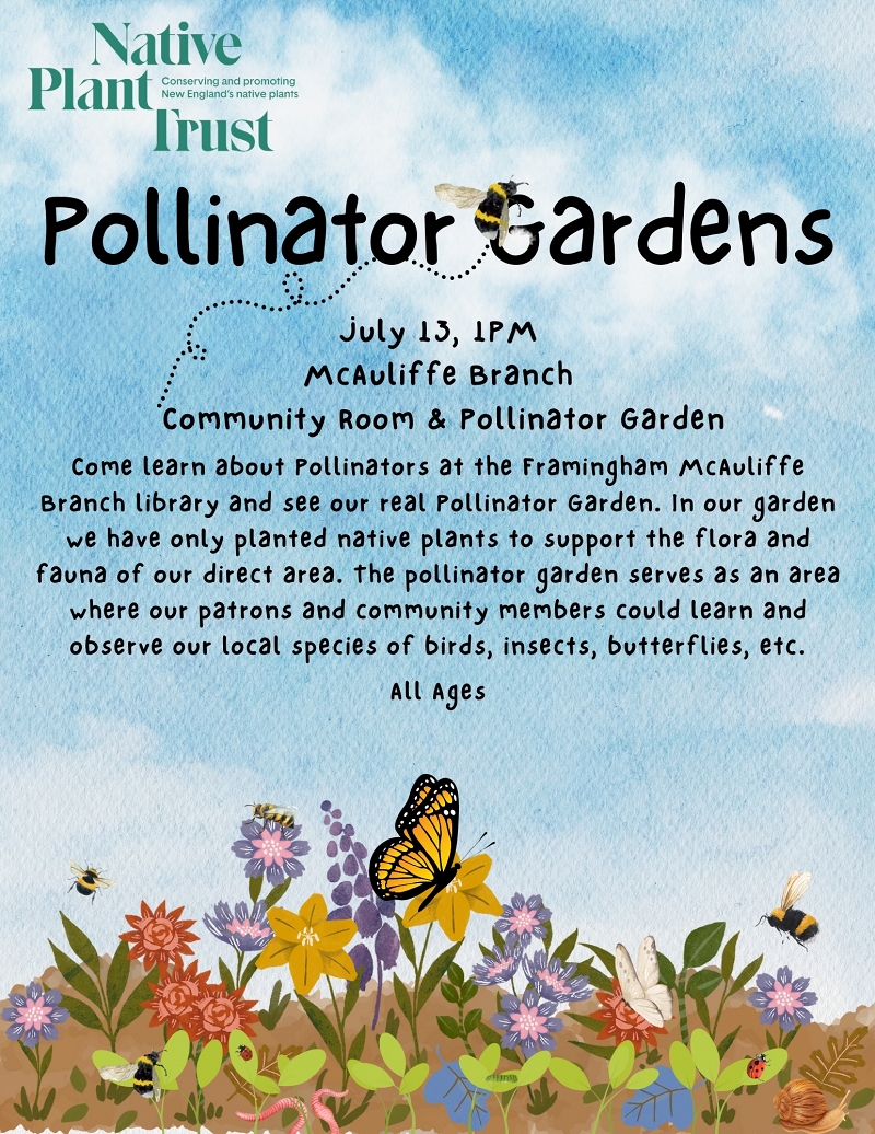 Native Plant Trust: Pollinator Gardens thumbnail Photo