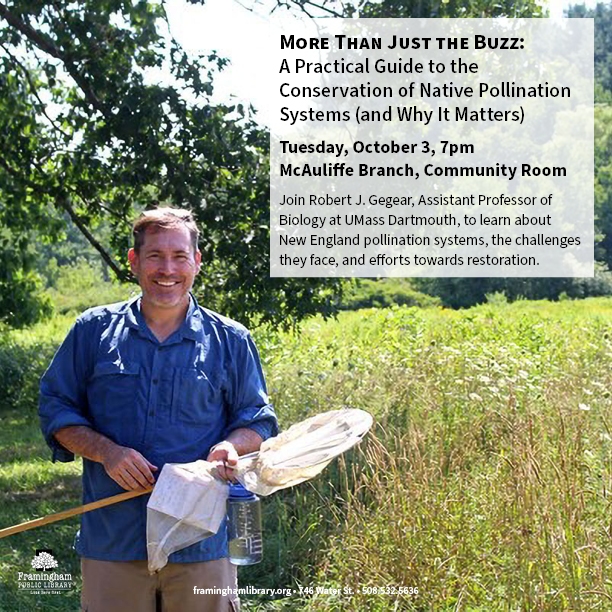 More Than Just the Buzz: A practical guide to the conservation of native pollination systems thumbnail Photo