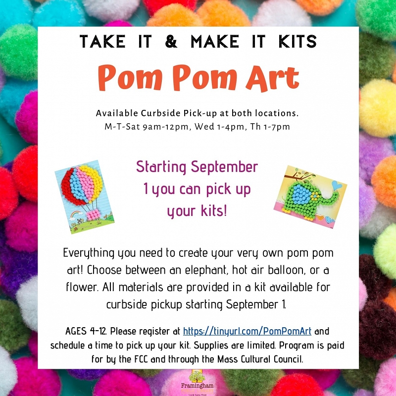 Take and Make Kit: Pom Pom Art thumbnail Photo