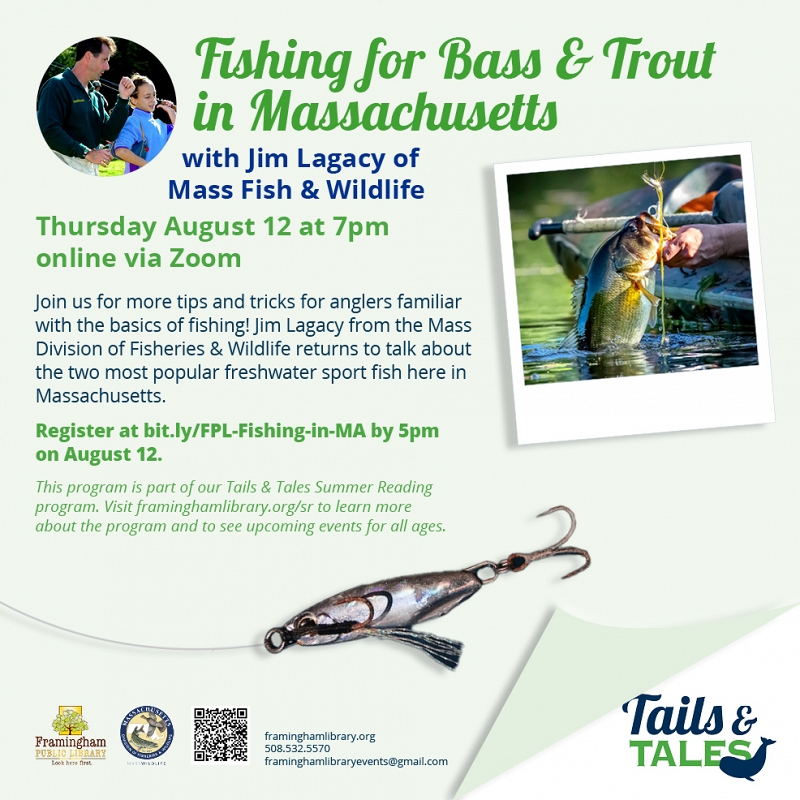 Fishing for Bass and Trout in Massachusetts, with Jim Lagacy from Massachusetts Fish & Wildlife thumbnail Photo