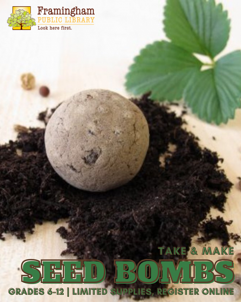 Seed Bombs Take & Make Craft thumbnail Photo