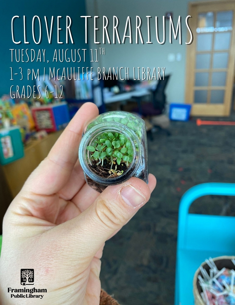 Clover Terrariums thumbnail Photo