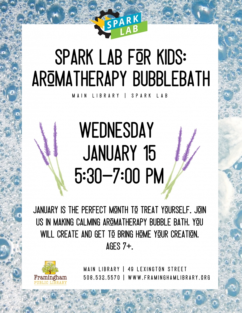 Spark Lab for Kids: Aromatherapy Bubble Bath thumbnail Photo