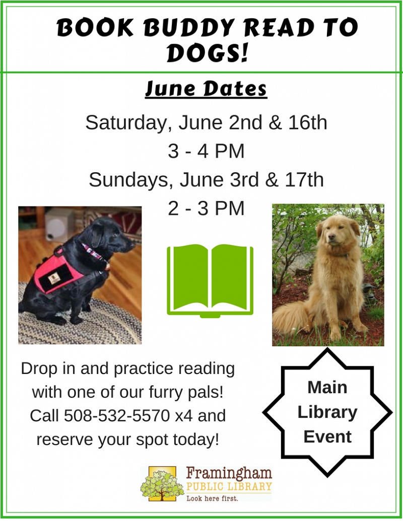 Book Buddy: Read to Dogs at Main Library thumbnail Photo