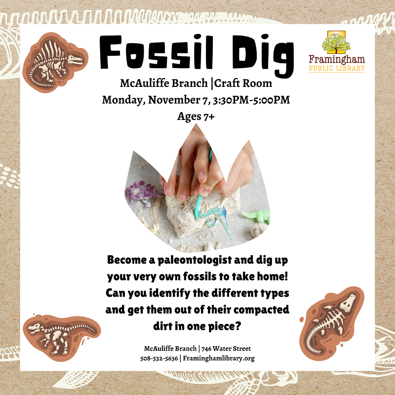 Fossil Dig thumbnail Photo