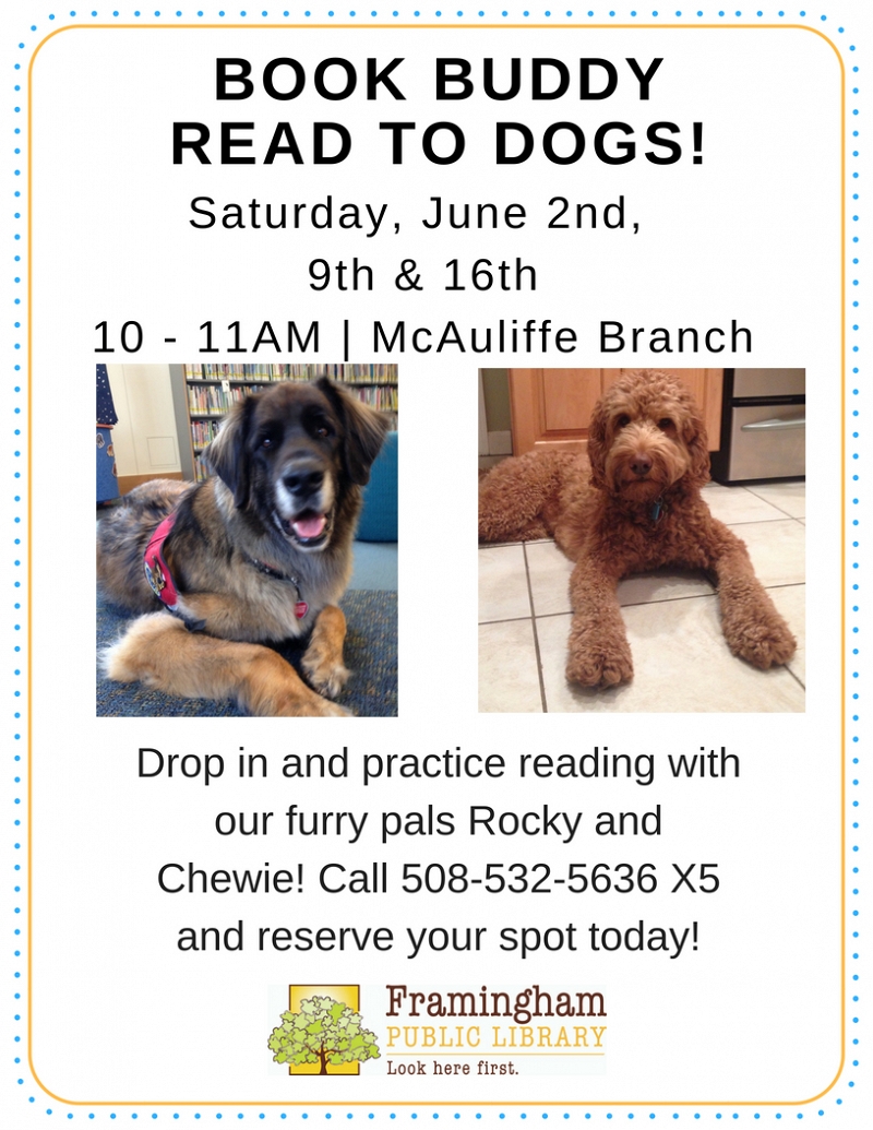 Book Buddy: Read to Dogs at McAuliffe thumbnail Photo
