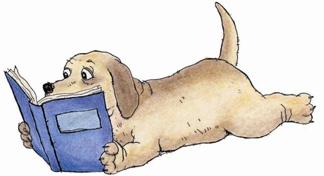 Book Buddy: Reading to Dogs @ McAuliffe thumbnail Photo