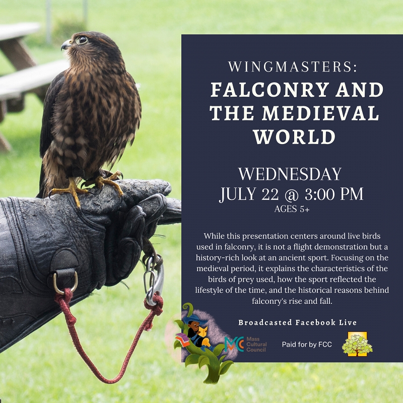 Wingmasters: Falconry and the Medieval World thumbnail Photo