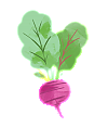 Red beet