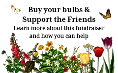 A Friends fundraiser to support your Library! graphic