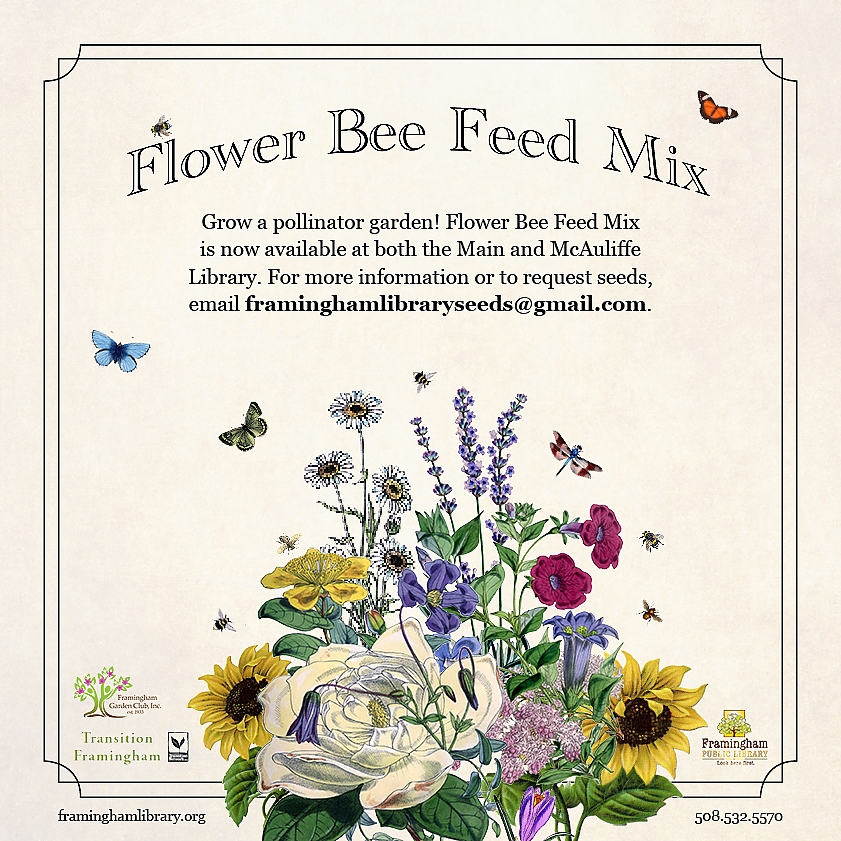 Flower Bee Feed Mix