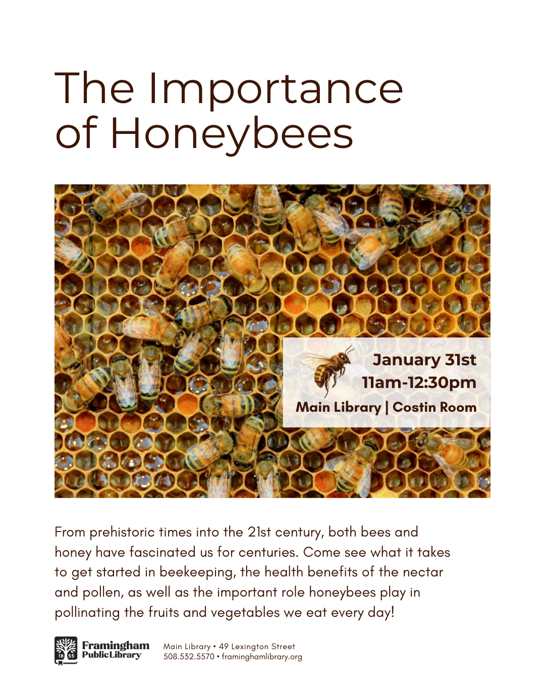 The Importance of Honeybees thumbnail Photo