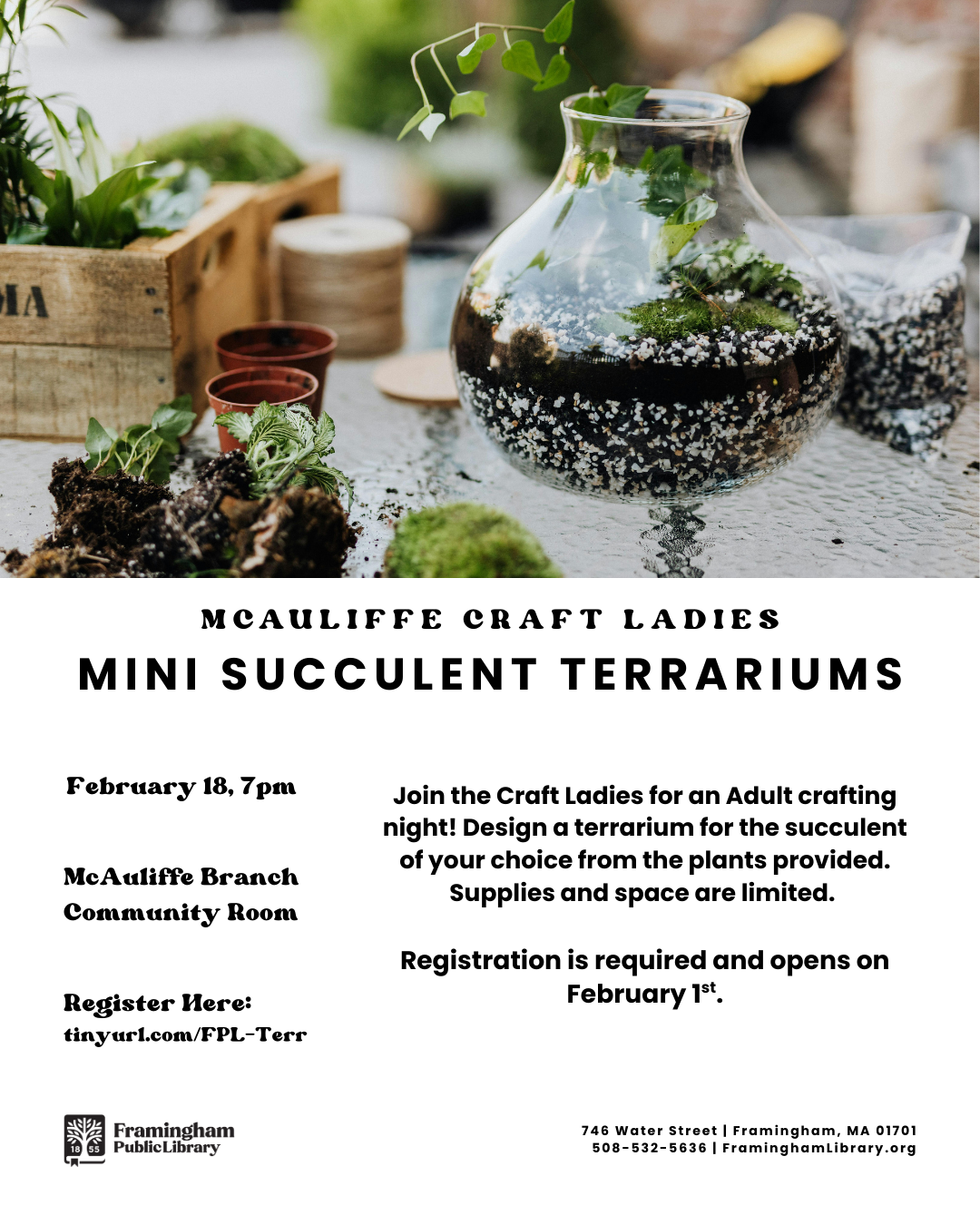 Craft Ladies: Mini Succulent Terrariums thumbnail Photo