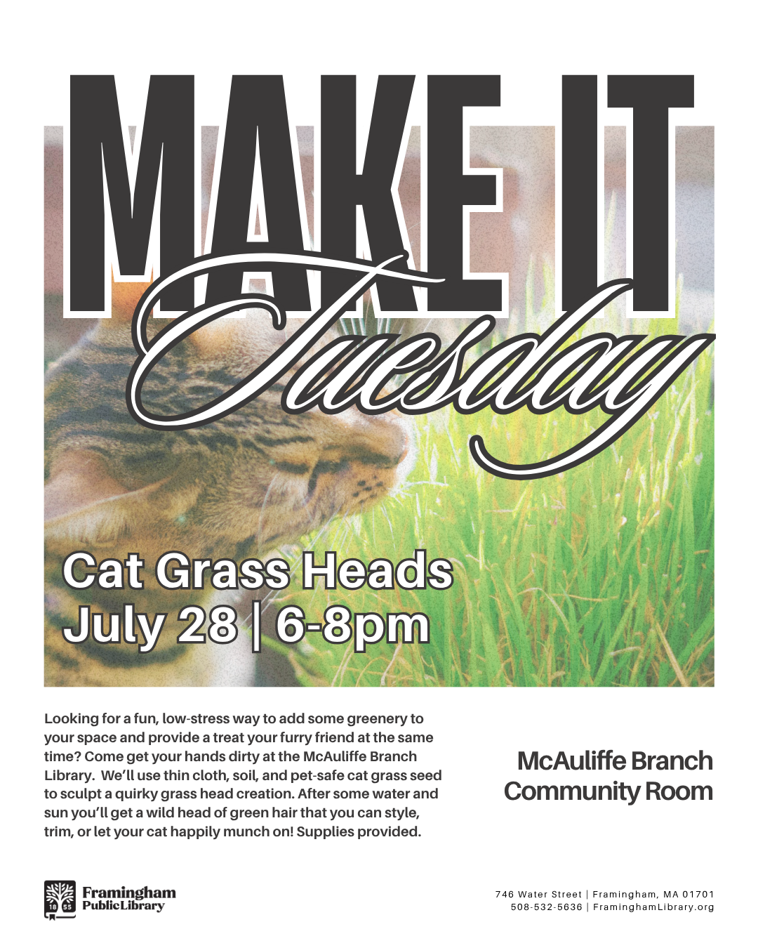 Make it Tuesday: Cat Grass Heads thumbnail Photo
