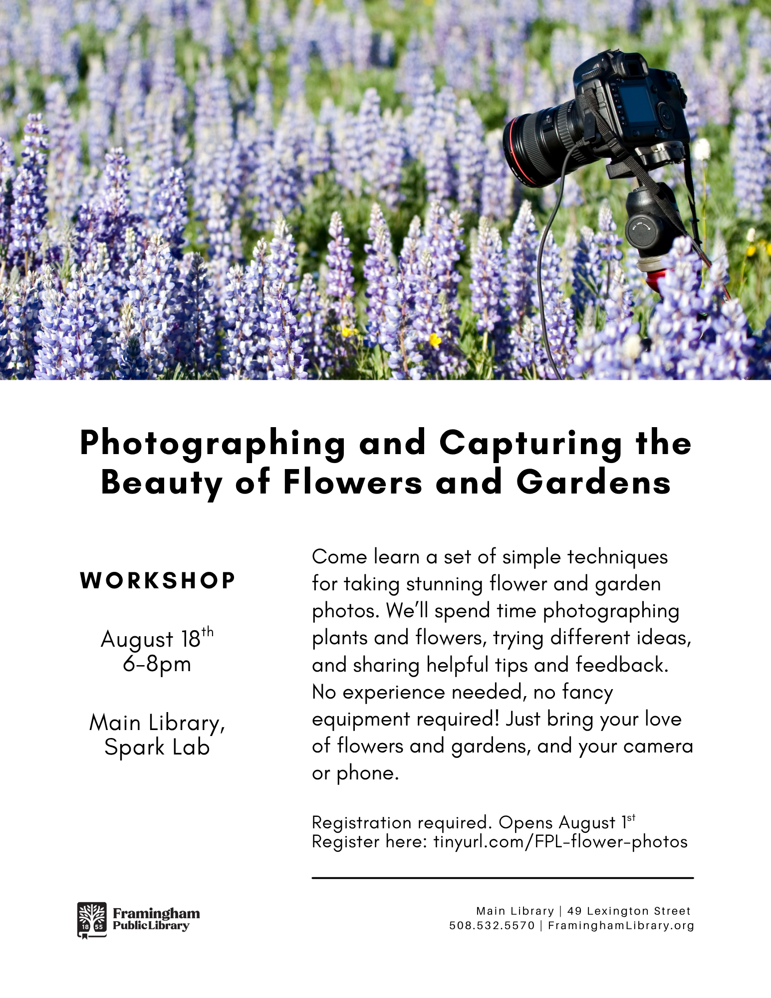 Workshop: Photographing and Capturing the Beauty of Flowers and Gardens thumbnail Photo