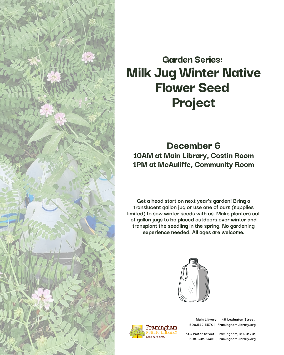 Garden Series: Milk Jug Winter Native Flower Seed Project thumbnail Photo